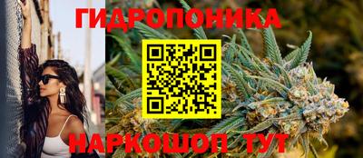 прущие крисы Севастополь