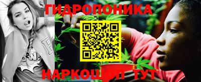трава Северобайкальск