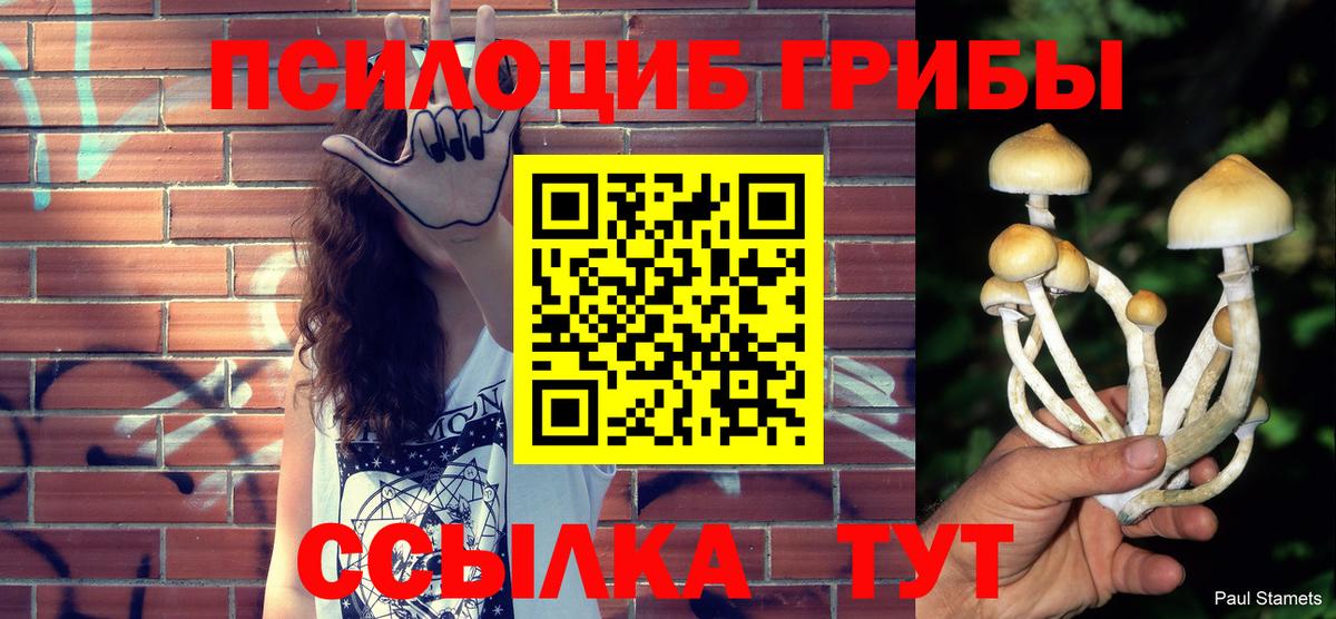 Псилоцибиновые грибы мухоморы  Галлюциногенные грибы ЛСД  Шахты  Вход с VPN 
